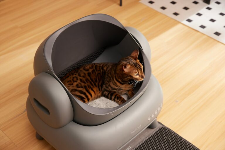 A cat sitting in a litter box on the floor